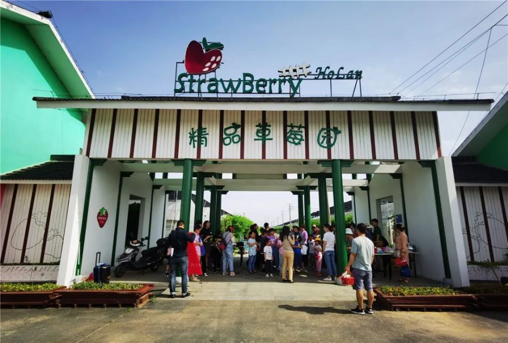 傅家边精品草莓生活馆位于洪蓝街道傅家边社区,共10个温室,温室总面积