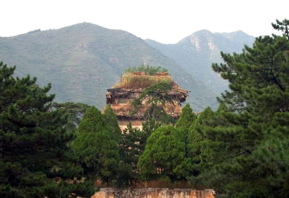 太后|女中尧舜，人间作精，后宫小透明：大明三位太皇太后不一样的人生