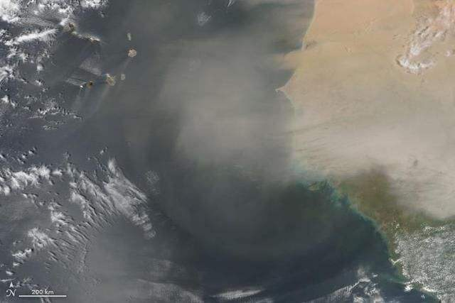 撒哈拉沙漠|隔着大西洋，撒哈拉沙漠是如何滋养亚马逊雨林的？