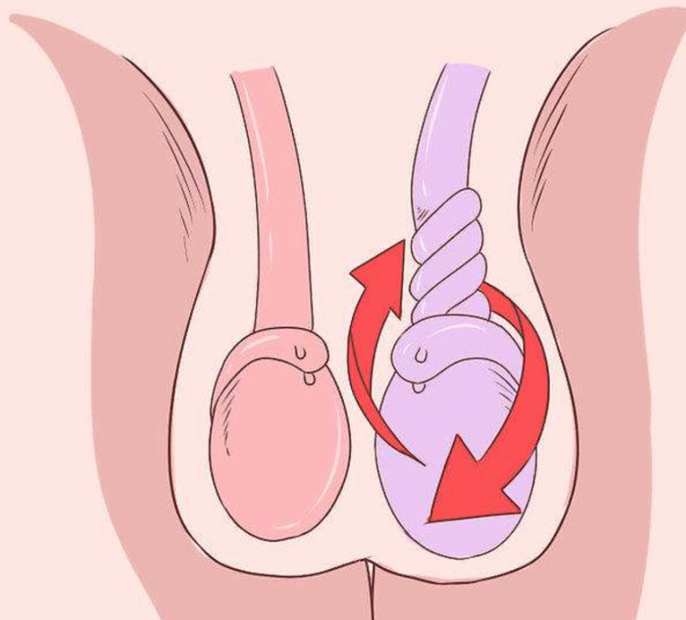 12岁男生蛋蛋小男生图片