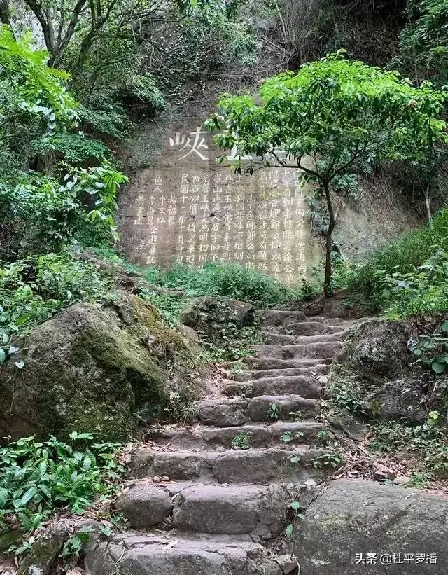 回到壽聖寺,穿過寺廟或者從旁邊的小路直上,沿著山腳走就可見登山線路