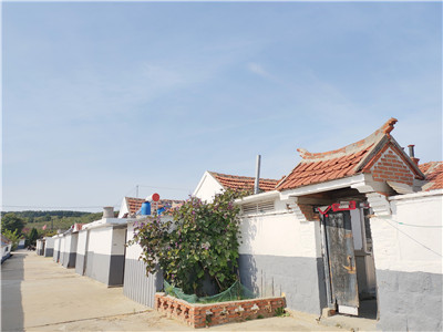 64岁的于清芝是威海经技区崮山镇讲东社区居民,在这个农村社区居住了