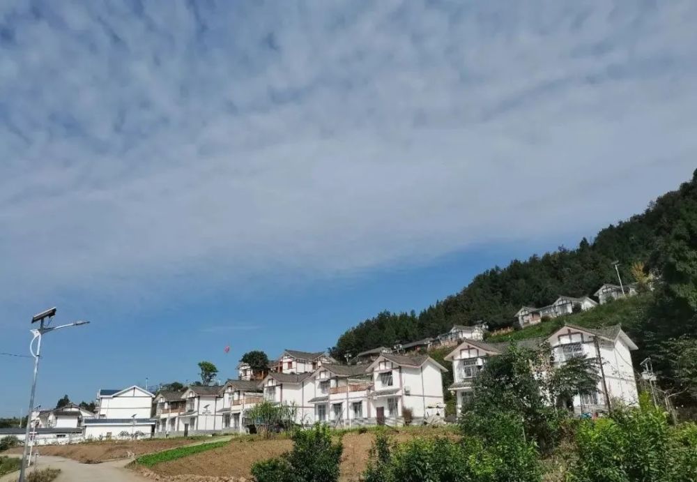 【乡镇】飞凤镇,文成镇最新动态