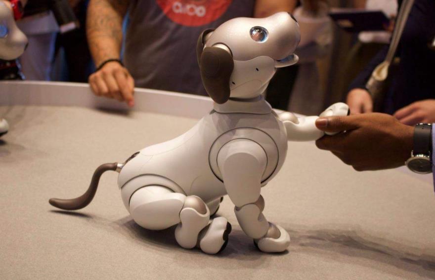 汪星人将面临失业危机ai机器狗超能干还不掉毛