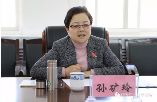 女副市长孙矿玲调离延安,5年前曾获"全国优秀县委书记"