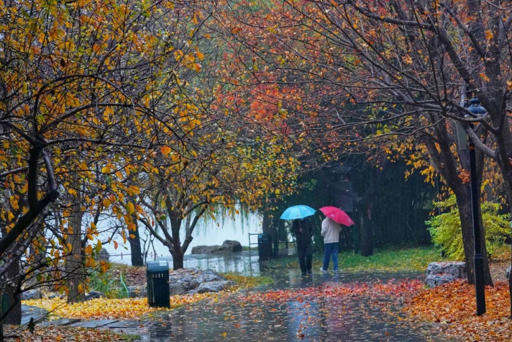 京城|雨中，紫竹院公园被晕染得多姿多彩……