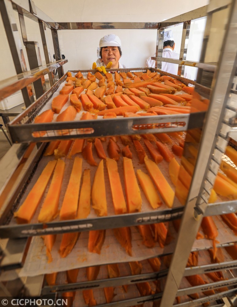 山东荣成地瓜干铺出甜蜜致富路