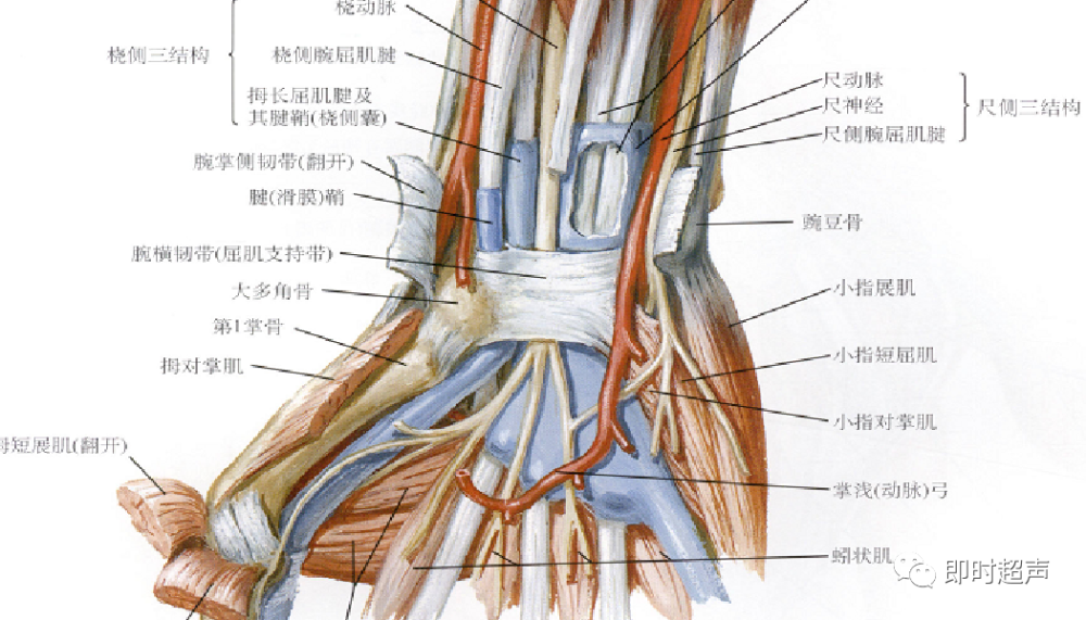 关节肌腱超声检查mri和x线不可比拟的优势