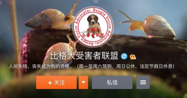 腾讯内容开放平台