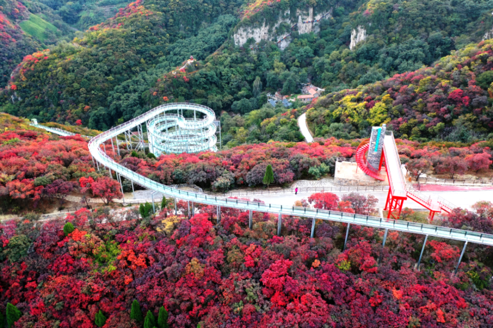 齊風冬韻|淄博超火的網紅打卡地已經美成仙境,超想帶你去逛逛