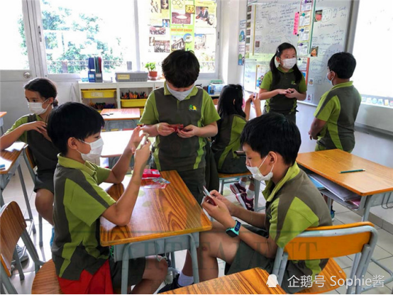 大屿山国际学校好不好 香港最具活力校园 名校录取率位居榜首 腾讯新闻