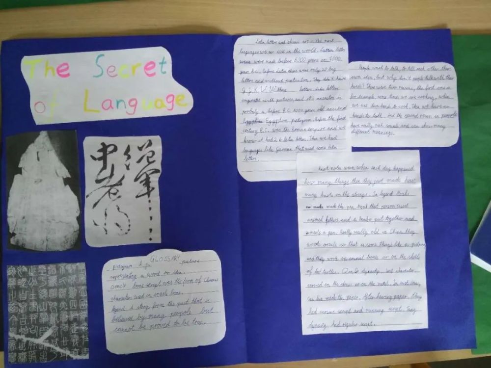 德国_教育|见识了德国小学生的“长期作业”，我觉得这些年学白上了！