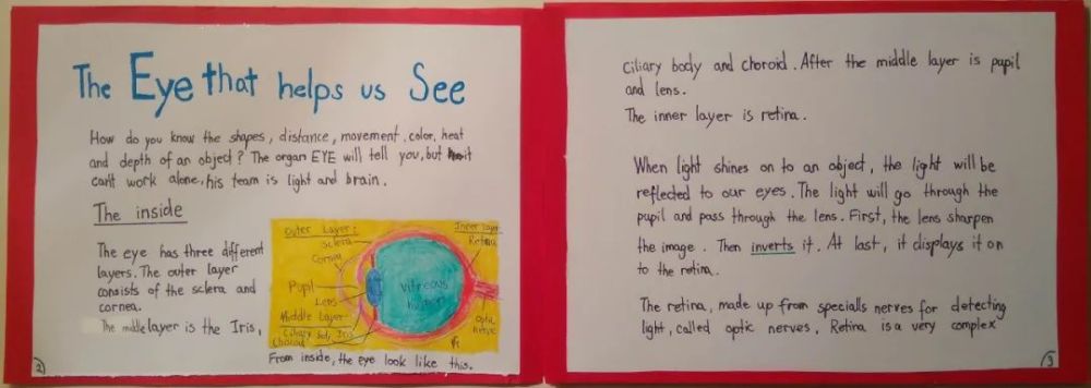 德国_教育|见识了德国小学生的“长期作业”，我觉得这些年学白上了！