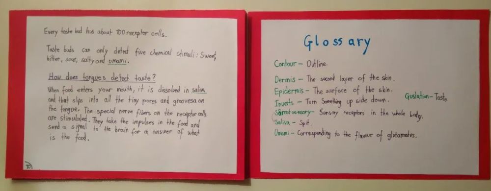 德国_教育|见识了德国小学生的“长期作业”，我觉得这些年学白上了！