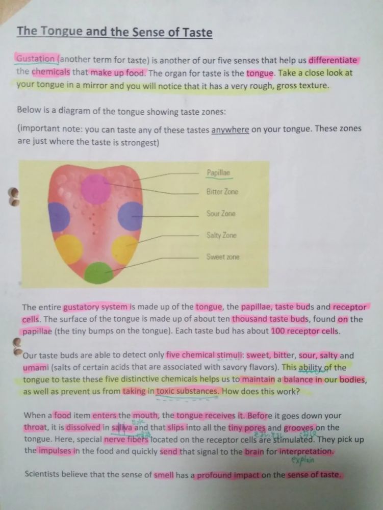 德国_教育|见识了德国小学生的“长期作业”，我觉得这些年学白上了！