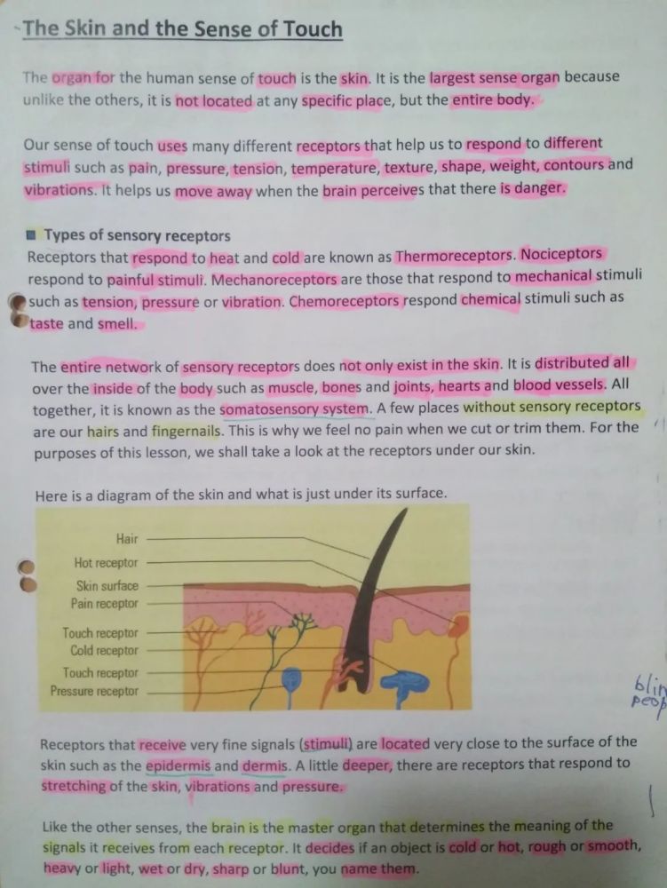 德国_教育|见识了德国小学生的“长期作业”，我觉得这些年学白上了！