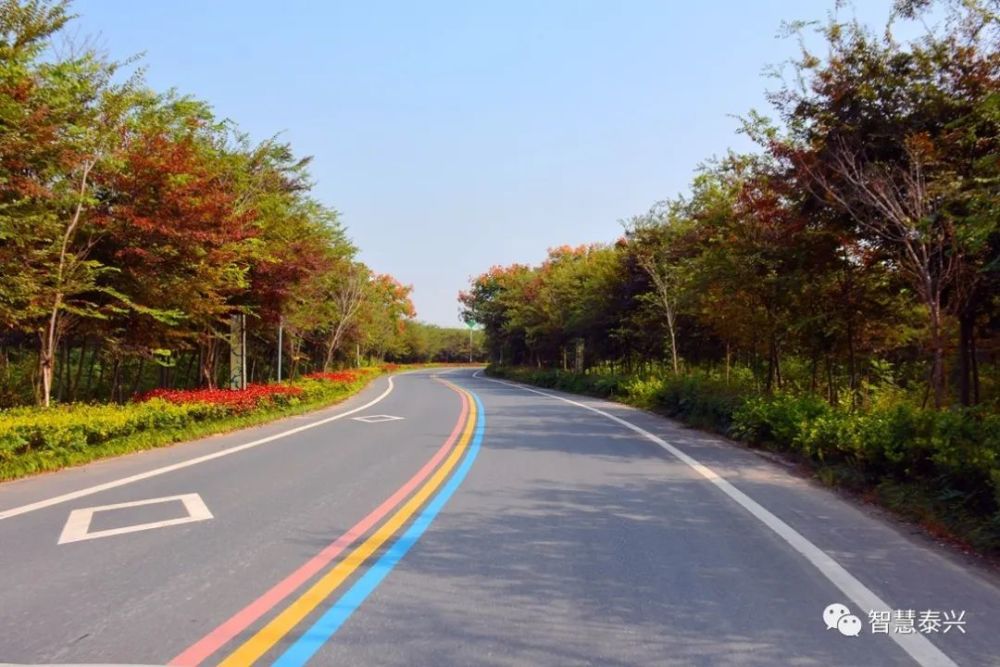 这条 "彩虹路",等你来漫步_腾讯新闻