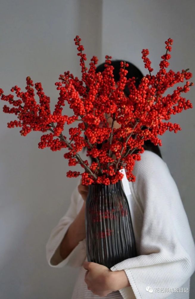 每日一花北美冬青秋冬季居家插花实力团宠
