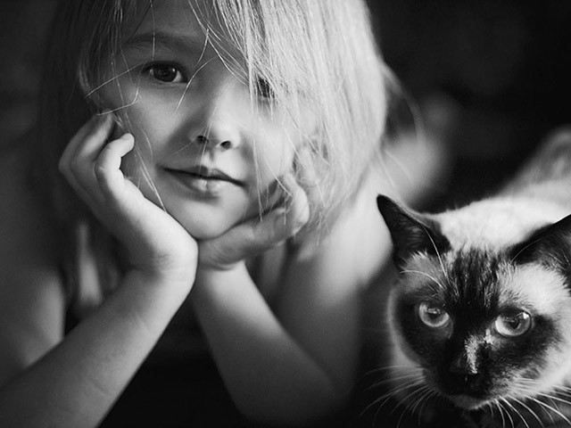 李时珍|古人为什么不吃猫肉？李时珍说：有一种情况千万别吃