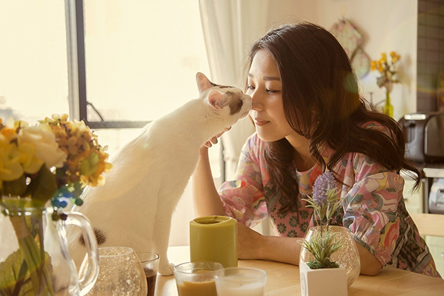 李时珍|古人为什么不吃猫肉？李时珍说：有一种情况千万别吃