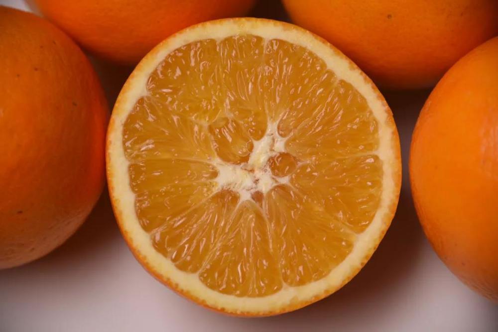 论及柑橘家族之间的关系,可以说极其"混乱".