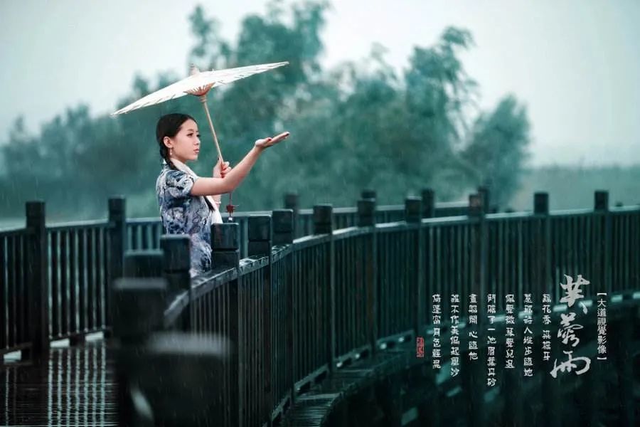 芙蓉雨|一首《芙蓉雨》，清风禅意好听