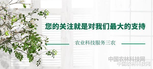 鸡心果|涨姿势啦！未来几年最具发展潜力的苹果品种大盘点