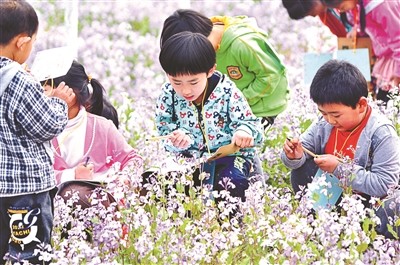 劳动教育|校园办起“丰收节” 田间地头看自然 种菜做饭成作业