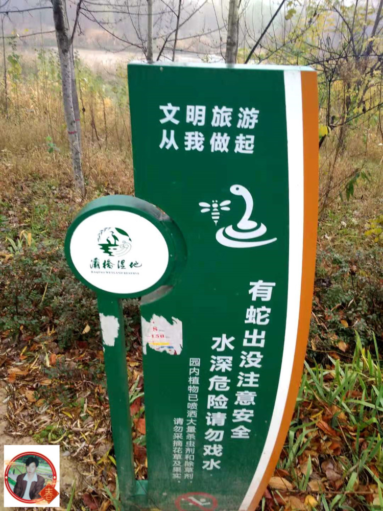 朱坤明我喜歡灞橋生態溼地公園的蝴蝶雕塑沿著灞河東路去藍田