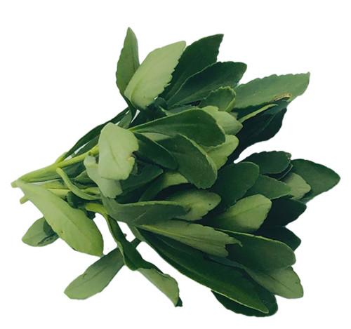 补钙|钙片|养心菜|牛奶|中科