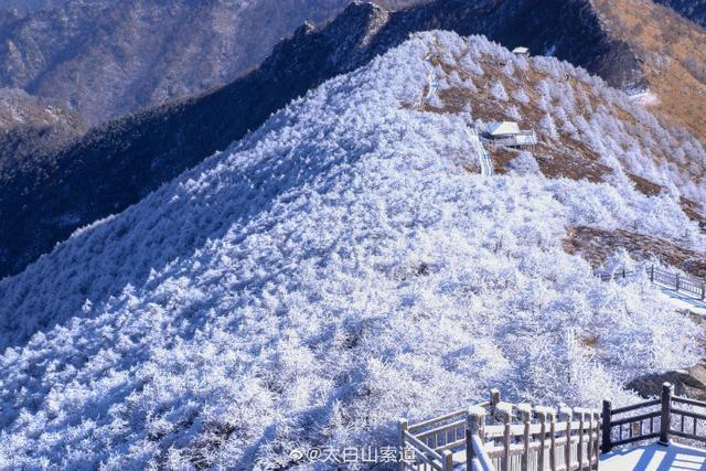 秦岭太白山雪后雾凇美景 仿佛置身冰雪童话世界(图6)