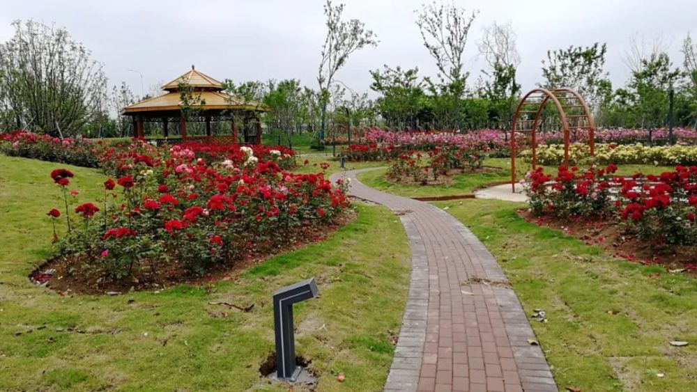 最新城南植物园票价不高于