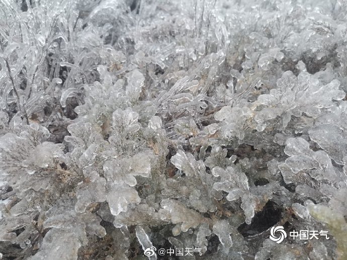 黑龙江冻雨图片