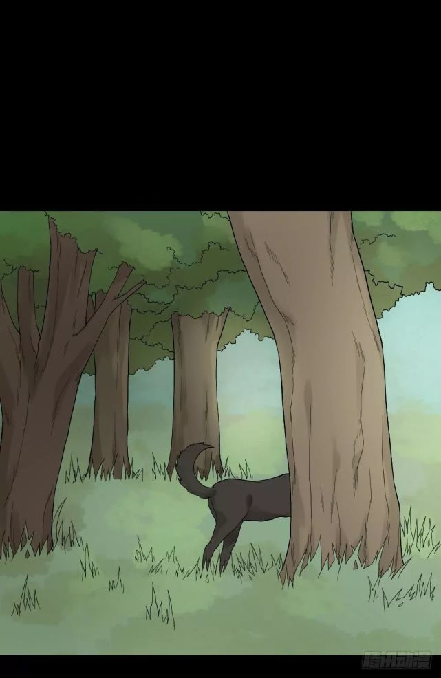 午夜恐怖漫画 人面怪物 我的头长在蛇身上 人面怪物 恐怖漫画