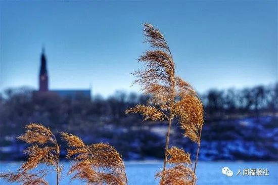 |星云大师：如何加强环保教育