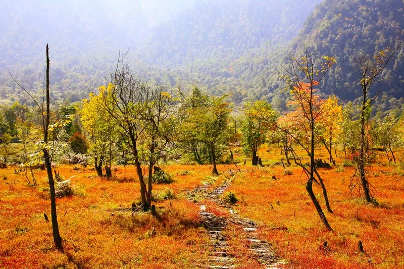 相伴登高望遠,共賞黑竹溝秋色芳華!_騰訊新聞