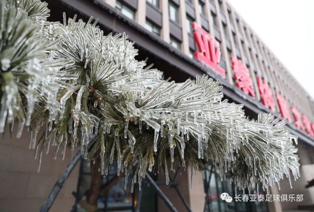 图说亚泰基地亚泰净月基地独有之美被冻住的冰刻足球