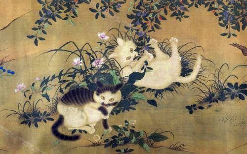 李时珍|古人为何从不吃猫？看李时珍在《纲目》中记载了啥，你就明白了