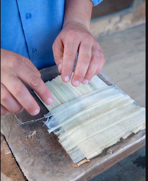 埃及人几千年前就发明了莎草纸为何世界还承认纸是中国发明的