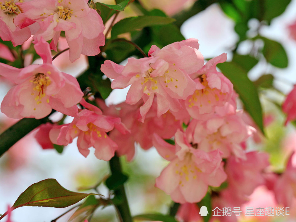 11月日星座运势 目标明确 风雨兼程的四大星座 腾讯新闻