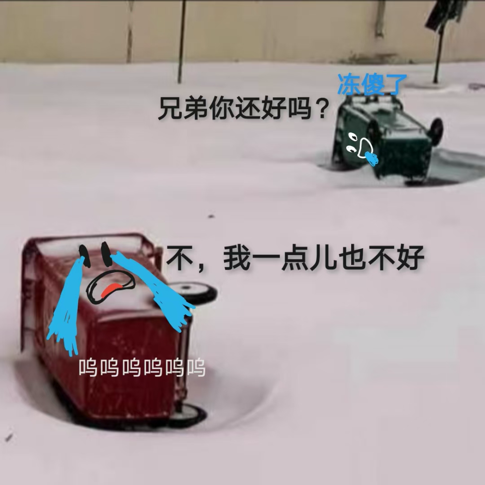 两个下雪热搜南方网友是我体会不到的快乐