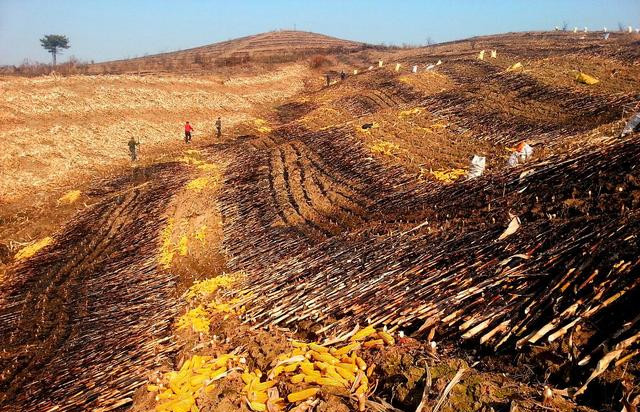 屯里的那些事开荒那些年听都没听说过竟有那么多不知道的故事