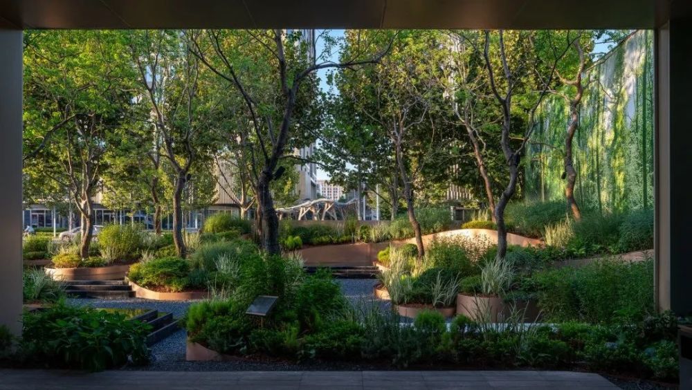 广亩研发:都市生机,用植物营造景观空间|理事分享_腾讯新闻