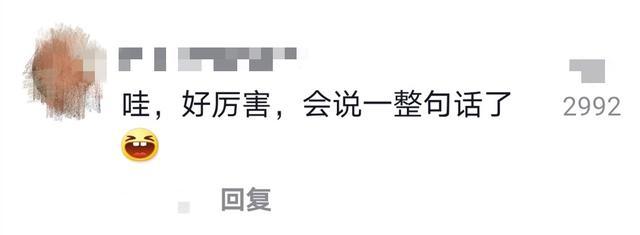 朱之文|大衣哥儿子直播排练曝光！9个字却一直说不利索，陈亚男一脸无奈