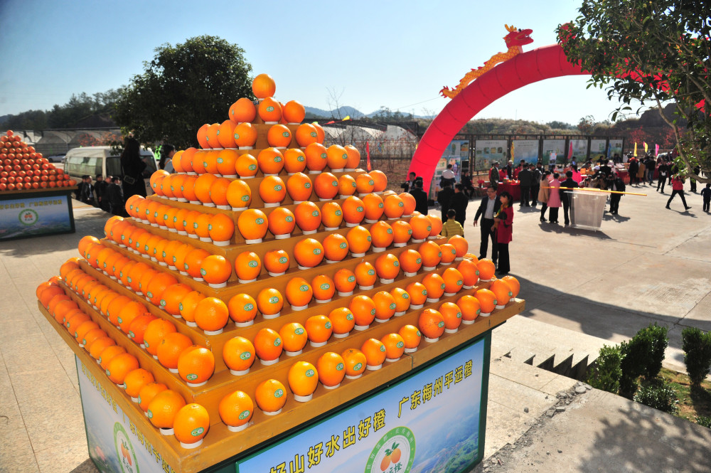 脐聚橙乡平远第十六届脐橙文化旅游节来啦明天见