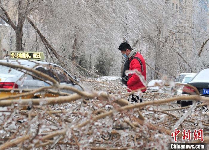 长春冻雨致草木皆冰 气象专家揭秘成因