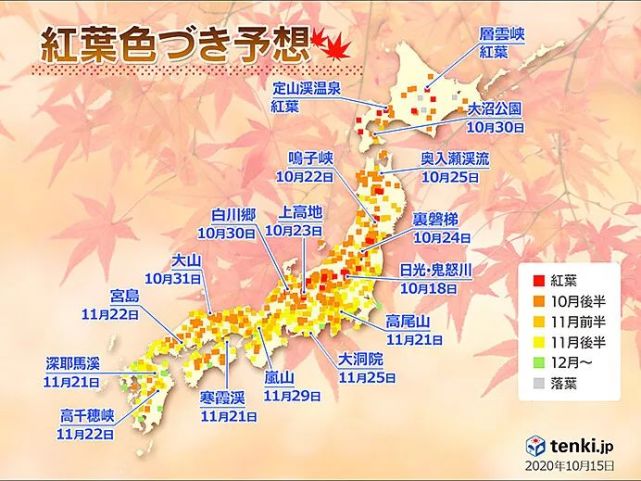 无法出行的日本红枫季 不如换个方式 云赏枫 源光庵 红叶 自然公园 日本 旅游 京都府 大雪山国立公园