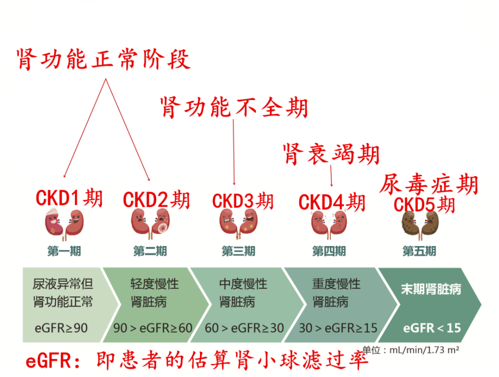 肌酐两三百 尿蛋白 血压等指标控制非常完美 还有希望稳住不透析吗 腾讯新闻