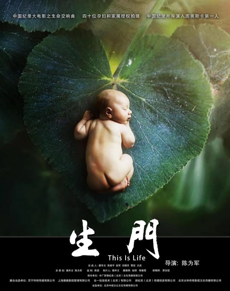 直播|Ella“直播”生娃，好“尴尬”啊！