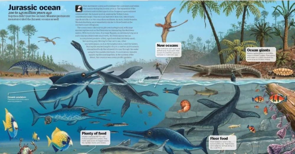 白热化的竞争使得到了白垩纪,爬行动物体型越来越大,装备越来越多.